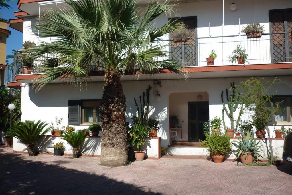 Apartament Casa Vesuvio Massa di Somma Zewnętrze zdjęcie