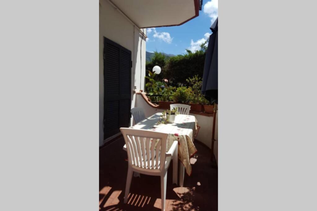 Apartament Casa Vesuvio Massa di Somma Zewnętrze zdjęcie